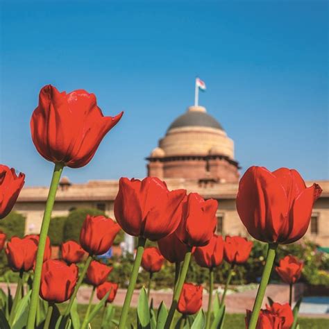 Mughal Gardens of Rashtrapati Bhavan: The State Garden in Public ...