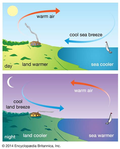 Sea and land breeze | meteorology | Britannica