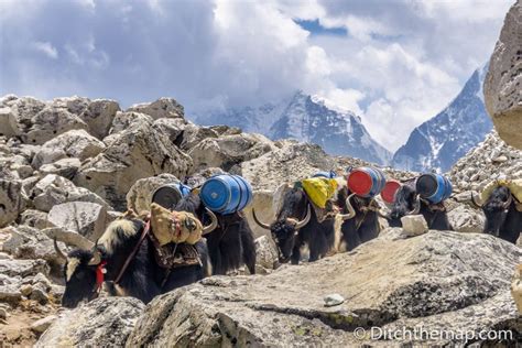 Hiking to Everest Base Camp | Intrepid Times - Travel Through Story