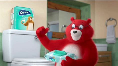 Charmin Ultra Strong TV Commercial, 'Even Charmin Bear Cubs Know ...