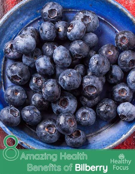 8 Amazing Health Benefits of Bilberry - Healthy Focus