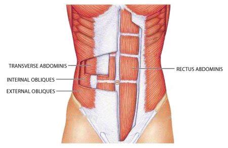 Renegade Row: Correct Form, Muscles Worked, & Variations - SET FOR SET