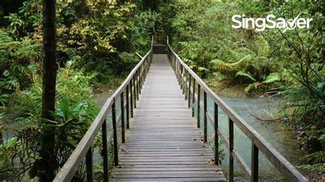 Best Parks & Nature Reserves In Singapore - For Hikes & Strolls | Singsaver