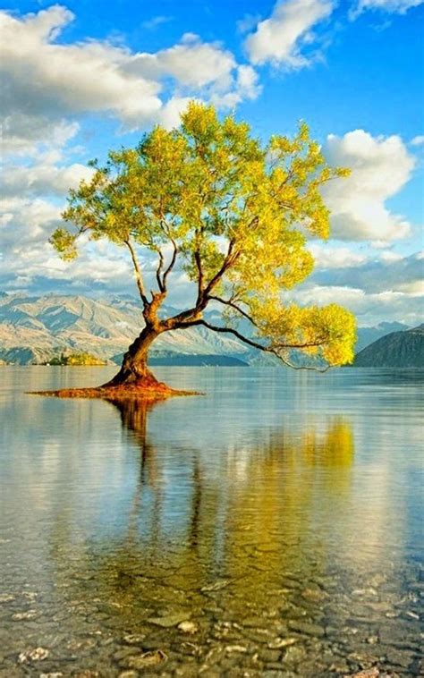 Nature Lock screen Wallpaper for Android - APK Download