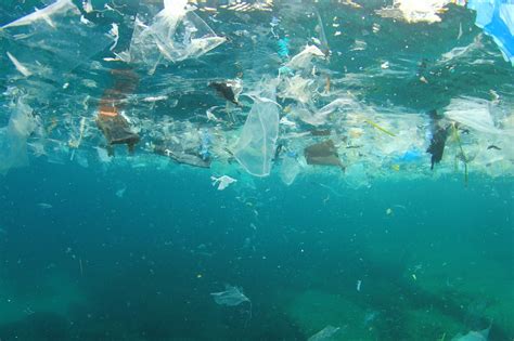 Microplastics flowing into our oceans threaten deep sea marine life