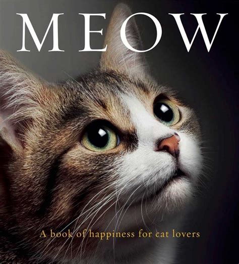 MEOW: A BOOK OF HAPPINESS FOR CAT LOVERS - The Cat On My Head