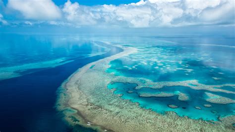 Microsoft Surface Hub Great Barrier Reef #4K #4K #wallpaper # ...