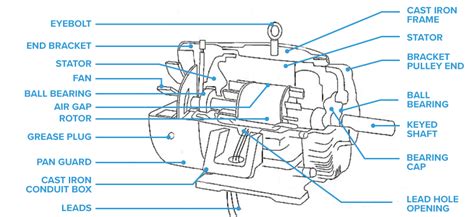 38 dayton motor parts diagram - Diagram Online Source