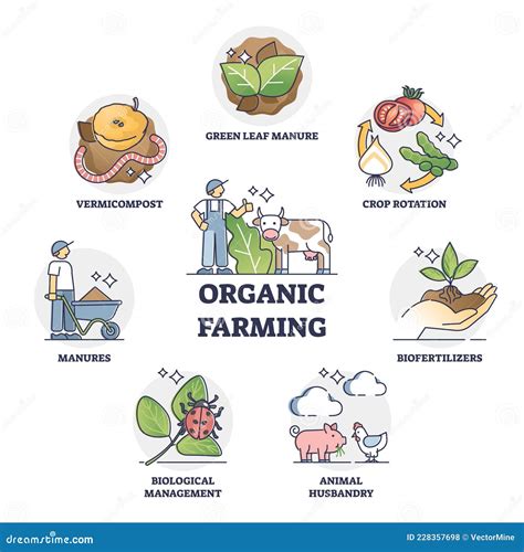 Organic Farming and Sustainable Harvesting Method Outline Collection Set Stock Vector ...