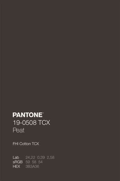 PANTONE 19-0508 TCX Peat | Color palette design, Color palette, Pantone ...