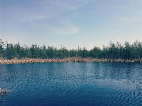 Outdoor Family Fun: Volo Bog State Natural Area in Ingleside - O the ...