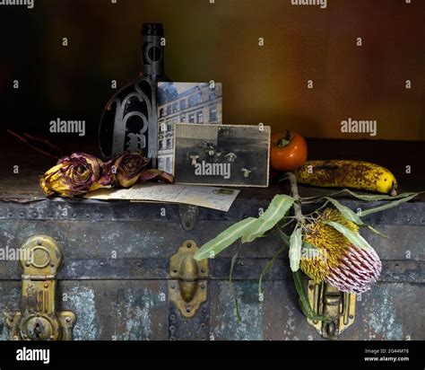 Vanitas still life Stock Photo - Alamy