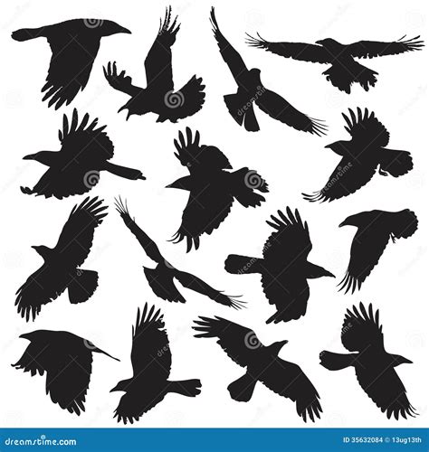 Crow silhouette set 01 stock vector. Illustration of elemental - 35632084