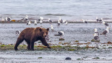 Magadan Natural Reserve: Fantastic PHOTOS of remote landscapes - Russia ...