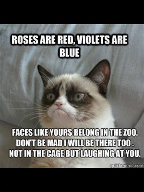 Taken from Facebook. Hehe | Grumpy cat humor, Funny grumpy cat memes, Grumpy cat quotes