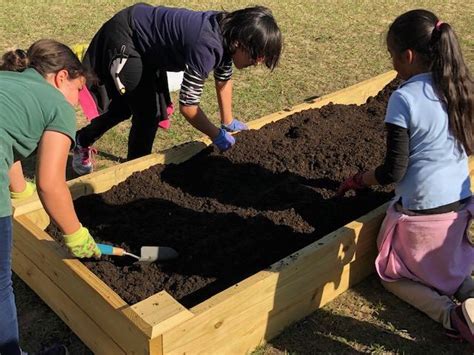 Lost Lake Elementary School Garden