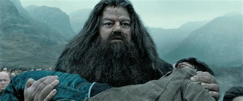 Image - Hagrid carrying Harry.jpg - Harry Potter Wiki