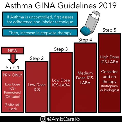 Asthma Inhaler Guidelines