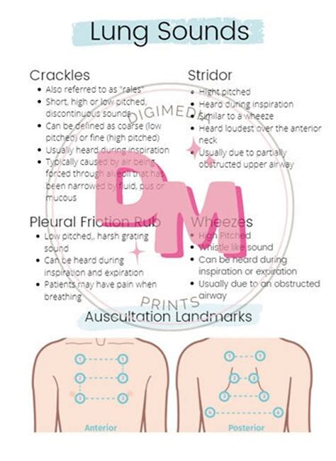 Nursing Lung Sounds Cheat Sheet - Etsy