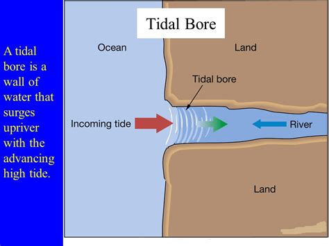 Tides - INSIGHTSIAS