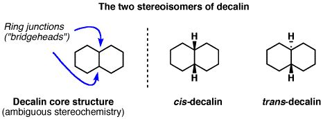 Decalin - Alchetron, The Free Social Encyclopedia