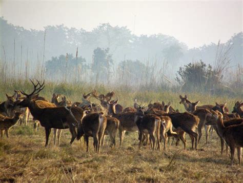 Terai - The Other Face of Nepal - Inside Himalayas