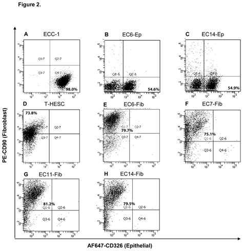 EpCAM and CD90 expression in established primary culture. Flow... | Download Scientific Diagram