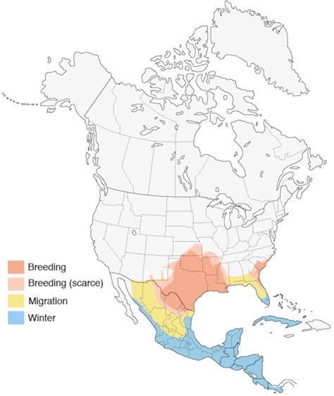 Range Map for Painted Bunting | Aves migratorias, Aves, México