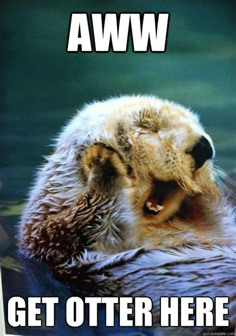 Aww Get otter here - Flattered Otter - quickmeme