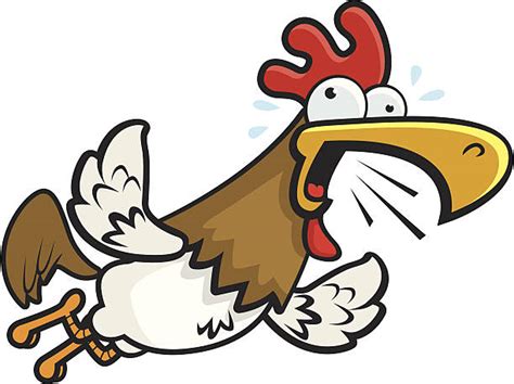 Best Flying Chicken Illustrations, Royalty-Free Vector Graphics & Clip ...