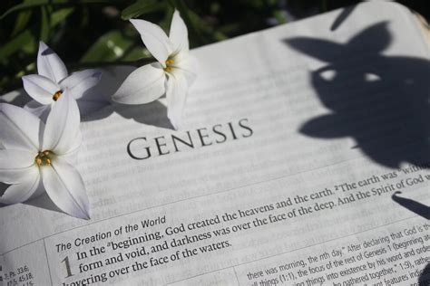 Genesis 1:1 Commentary - Why God Awareness Is Critical In Life