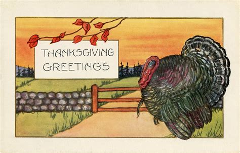 7 Thanksgiving Postcards with a Turkey! - The Graphics Fairy