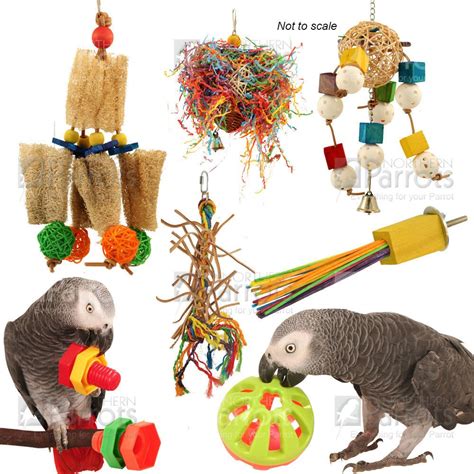 A selection of toys for your African Grey Parrot. | African grey parrot ...