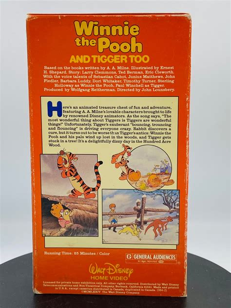 Winnie the Pooh and Tigger Too vintage Animated Vhs | Etsy