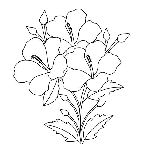 hibiscus flower drawing with ink contours for coloring page 6648608 Vector Art at Vecteezy