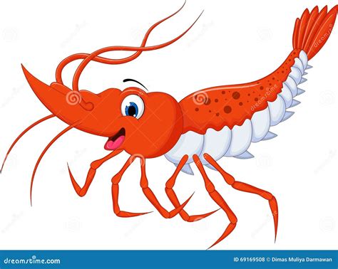 Cute shrimp cartoon stock illustration. Illustration of claw - 69169508