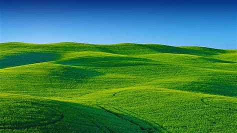 HD wallpaper: grass, sunset, field, sky, crop, prairie, grassland ...