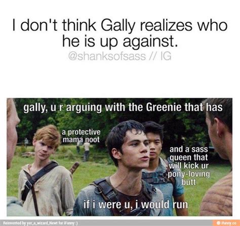 "The Maze Runner: Jokes and Memes" - Gally, you're crazy | Maze runner funny, Maze runner ...