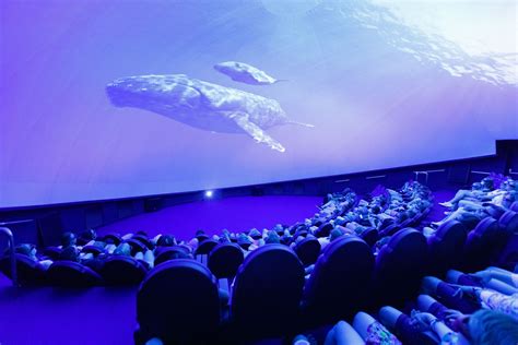 Palma Aquarium mit Eintritt zum AquaDome Kino