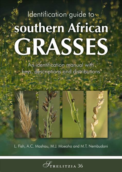 (PDF) Identification guide to southern African grasses: an identification manual with keys ...