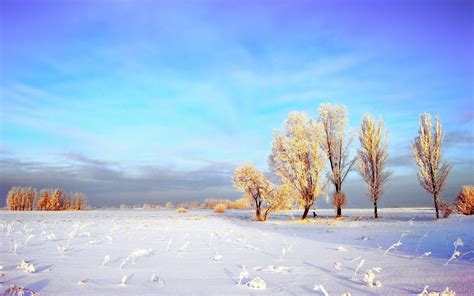 Winter Landscape Wallpapers - Wallpaper Cave