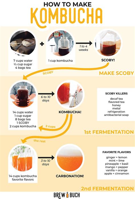 Ever wondered how kombucha - the deliciously fizzy fermented tea - is ...