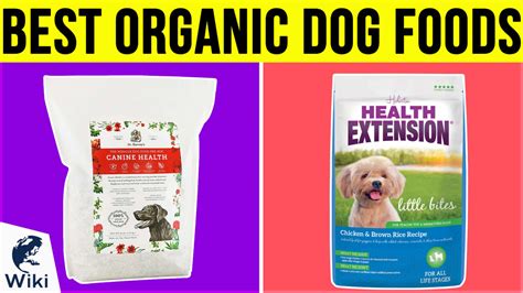 Top 10 Organic Dog Foods of 2019 | Video Review