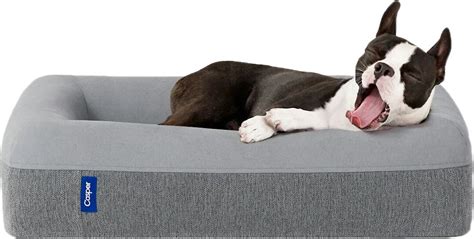 Casper Memory Foam Dog Bed, Large, Gray - Chewy.com