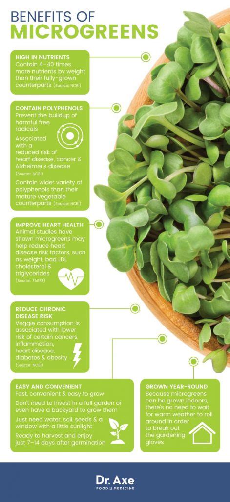 What Are Microgreens? Nutritional Benefits & How to Grow Them