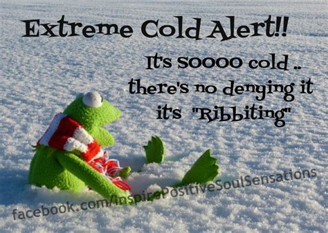 It's so cold ? | Cold quotes, Cold weather funny, Funny quotes