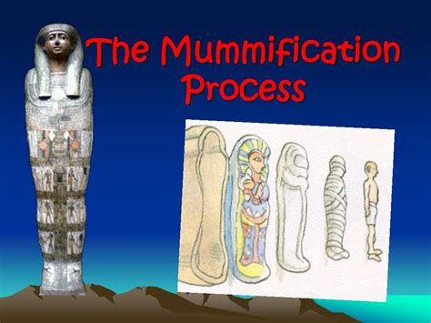 Mummification Process Diagram