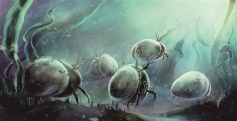 Study reveals mystery of Paleozoic ostracod evolution