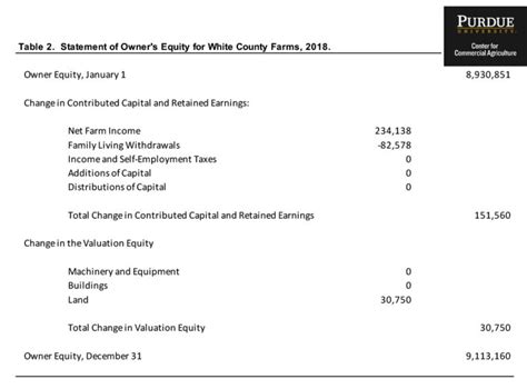 Statement Of Owner's Equity Template