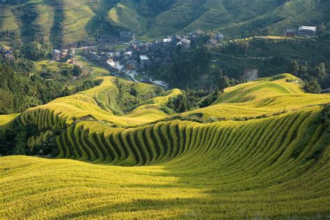 Longsheng Rice Terraces Background Images, HD Pictures and Wallpaper For Free Download | Pngtree